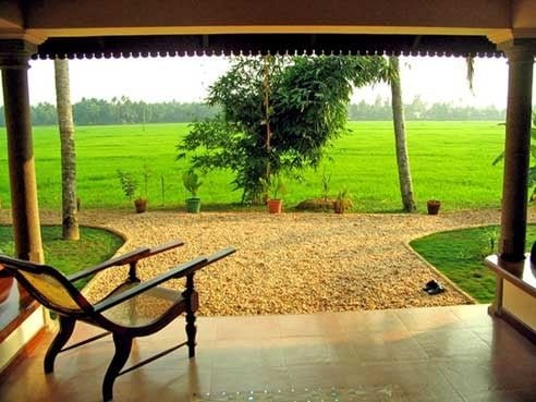 Paddy fields seen from the verandah at Maria Heritage
